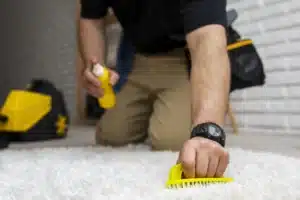 alfombra limpieza/limpieza de casas a domicilio