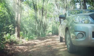limpieza de coches en Telde
