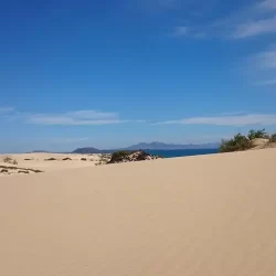 limpieza Corralejo​