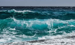 limpieza coche El Puerto de Santa Maria​